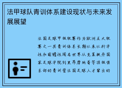 法甲球队青训体系建设现状与未来发展展望